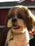 Buckley
