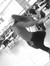 Chelsey