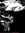 Jack | 3 comments