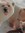 Aod | 7 comments