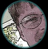 Goodreads profile picture for @seymour