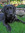 member photo member photo