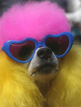 Goodreads profile picture for @jimi