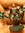 Jason | 2 comments