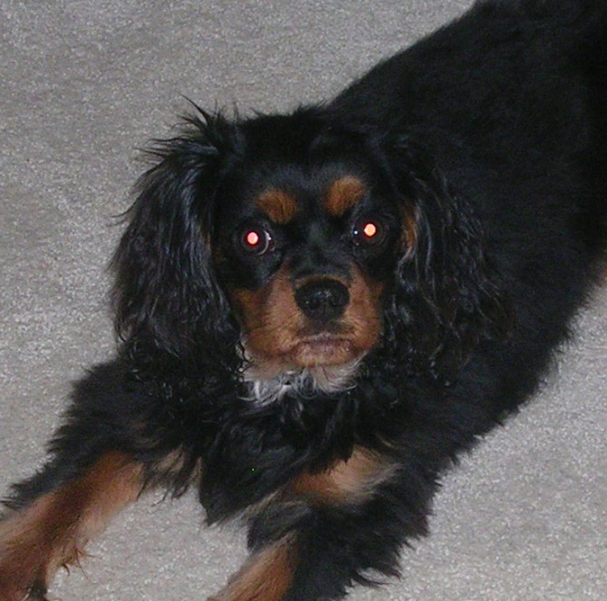 Goodreads profile picture for @doyle