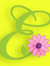 Eleise