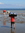 Nancy (nancyh) | 13 comments