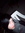 Ben Minoty | 2 comments