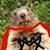 Majormarmot