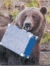mhmbear