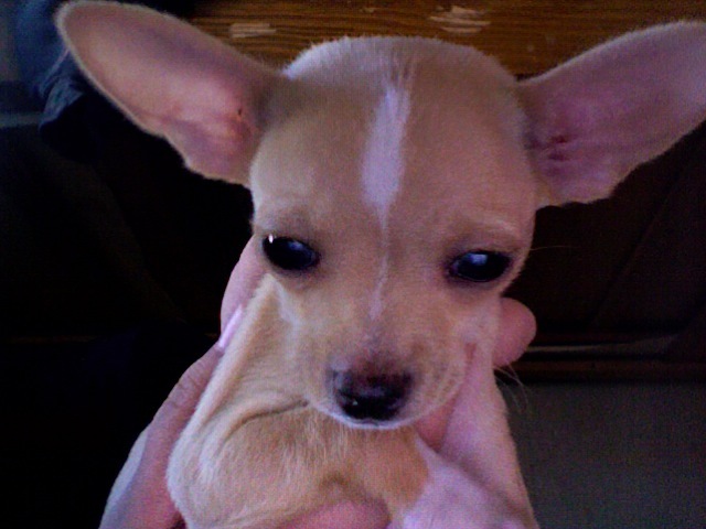Goodreads profile picture for @mvasquez