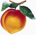 Peaches