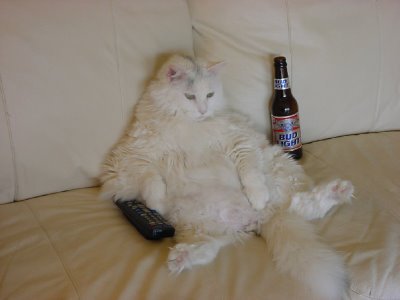 Goodreads profile picture for @karma
