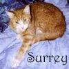 Surreysmum