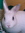 Pie | 4 comments