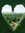 tyas | 3 comments