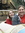 Sarah | 1 comments