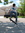 Jack | 9 comments