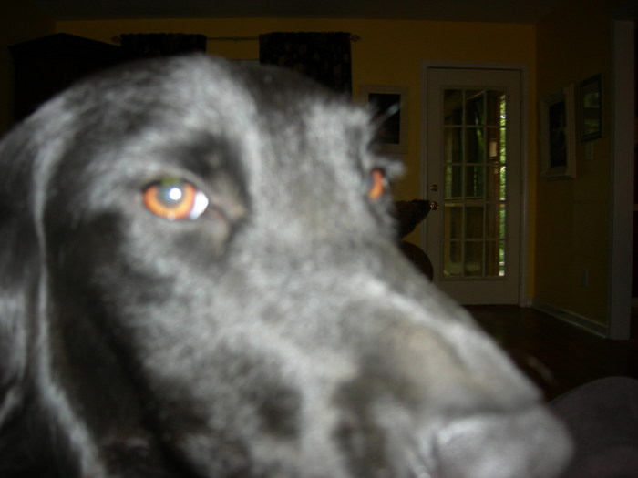 Goodreads profile picture for @toni