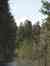 Genet