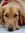 Annie | 2 comments