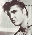 Elvis