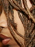 Lyzz O
