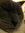 Stephanie | 1 comments