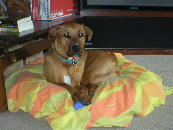 Goodreads profile picture for @skittles
