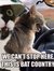 Steve N...