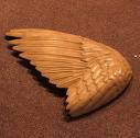 Goodreads profile picture for @wings