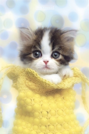 Goodreads profile picture for @melle