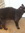 Heisey | 10 comments