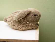 Raiveran Rabbit