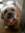 Tajah6065 | 4 comments