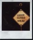 Gordon