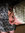 Irene McKisson | 1 comments