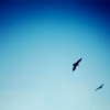 Goodreads profile picture for @daybreak
