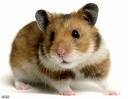 Goodreads profile picture for @raffy