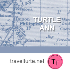 Turtle Ann