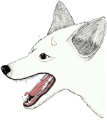 Goodreads profile picture for @niconico