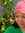 Leah3 | 1 comments