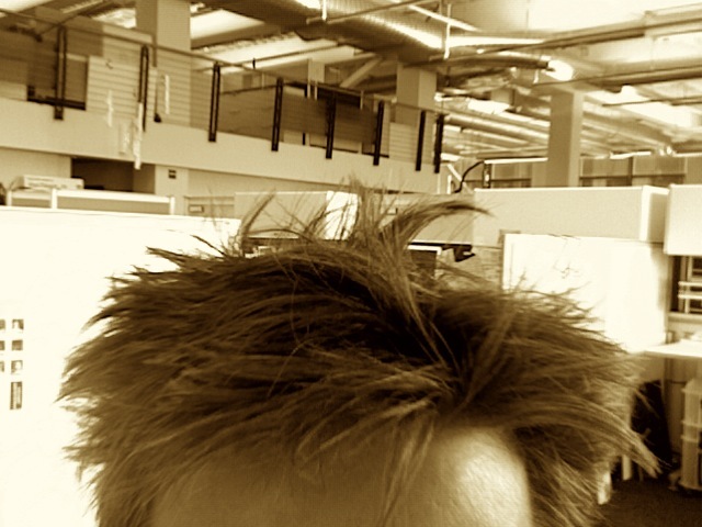 Goodreads profile picture for @newton