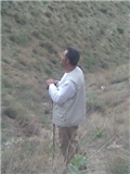 Saeid