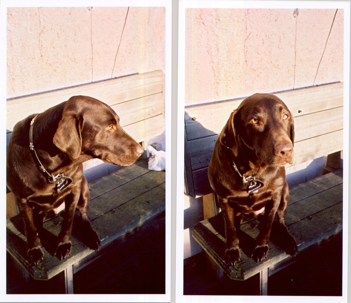 Goodreads profile picture for @bobbin