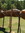 Shiloh (shiguy5956gmailcom) | 2 comments