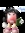 Msbookgal