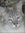 Cloudiie (Moonpelt) | 4 comments