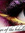Kat (ratatat_kat) | 4 comments