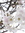 Moon | 6 comments